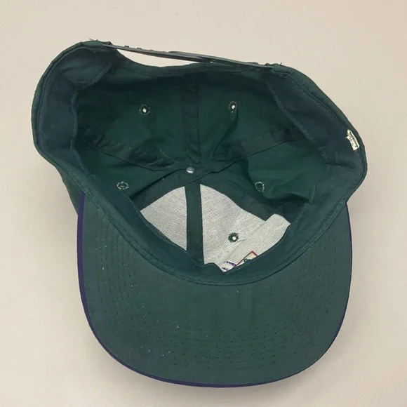 Vintage Arizona SnapBack - Picture 3 of 4